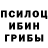 Псилоцибиновые грибы мухоморы Daniel Caverly