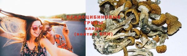 молекула духа Михайловск