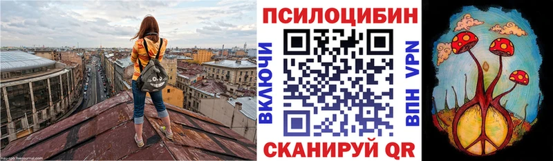 сайты даркнета клад  Прокопьевск  Псилоцибиновые грибы Magic Shrooms  сколько стоит 
