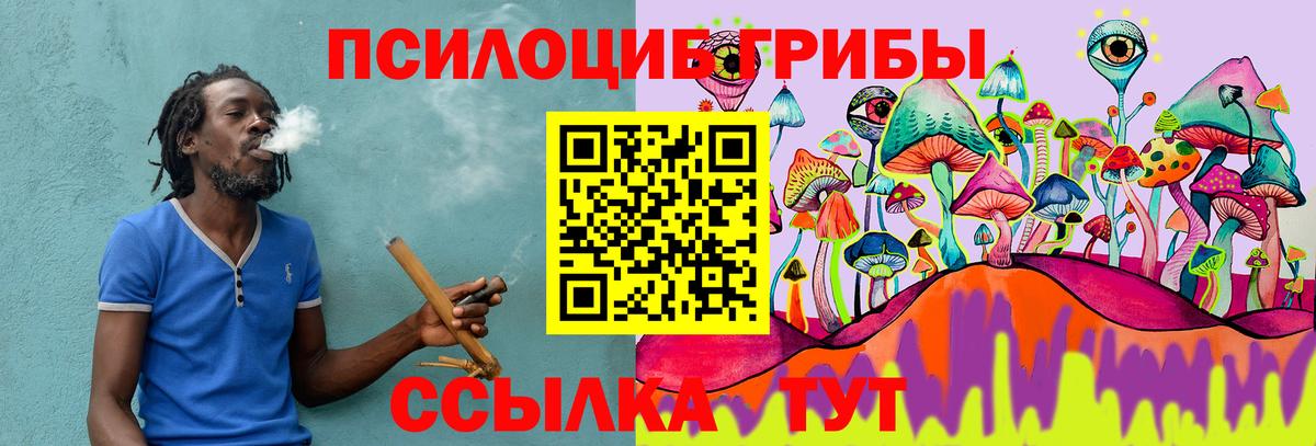 Псилоцибиновые грибы Cubensis  где можно купить наркотик  Прокопьевск  Вход с VPN 